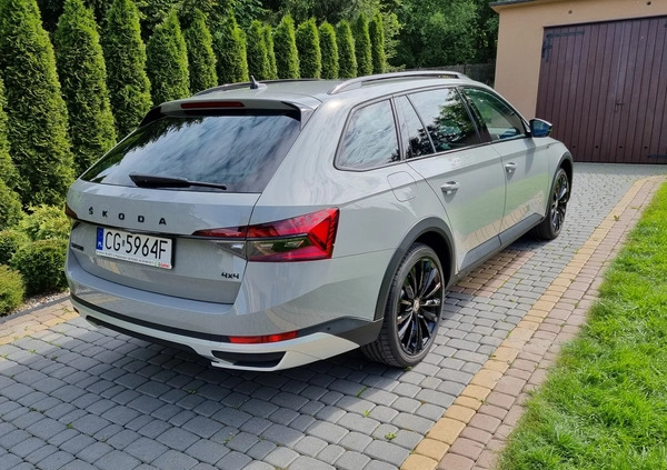 Skoda Superb cena 239900 przebieg: 17000, rok produkcji 2023 z Rypin małe 277